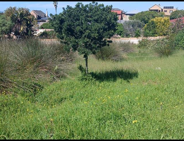 LAND FOR SALE IN STILBAAI-WES